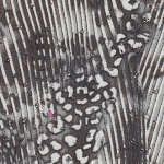 jshi393-911